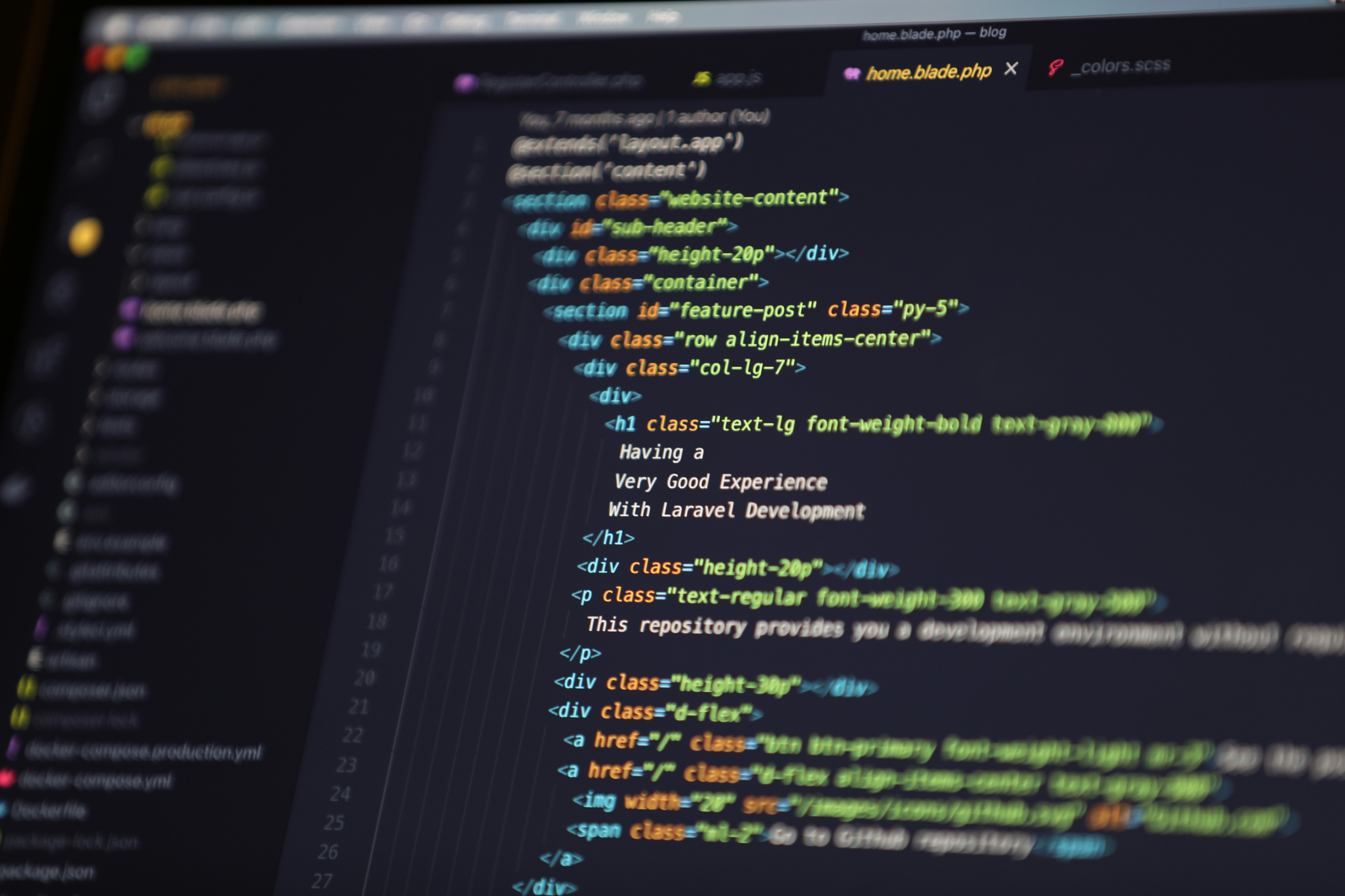 Personal Portfolio & Project Management System